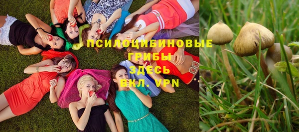 дурь Арсеньев