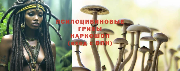 дурь Арсеньев