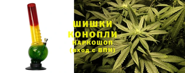 дурь Арсеньев