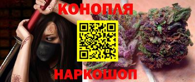 гашик Будённовск