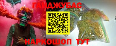 гашик Будённовск