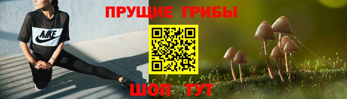 Галлюциногенные грибы Psilocybe Белорецк